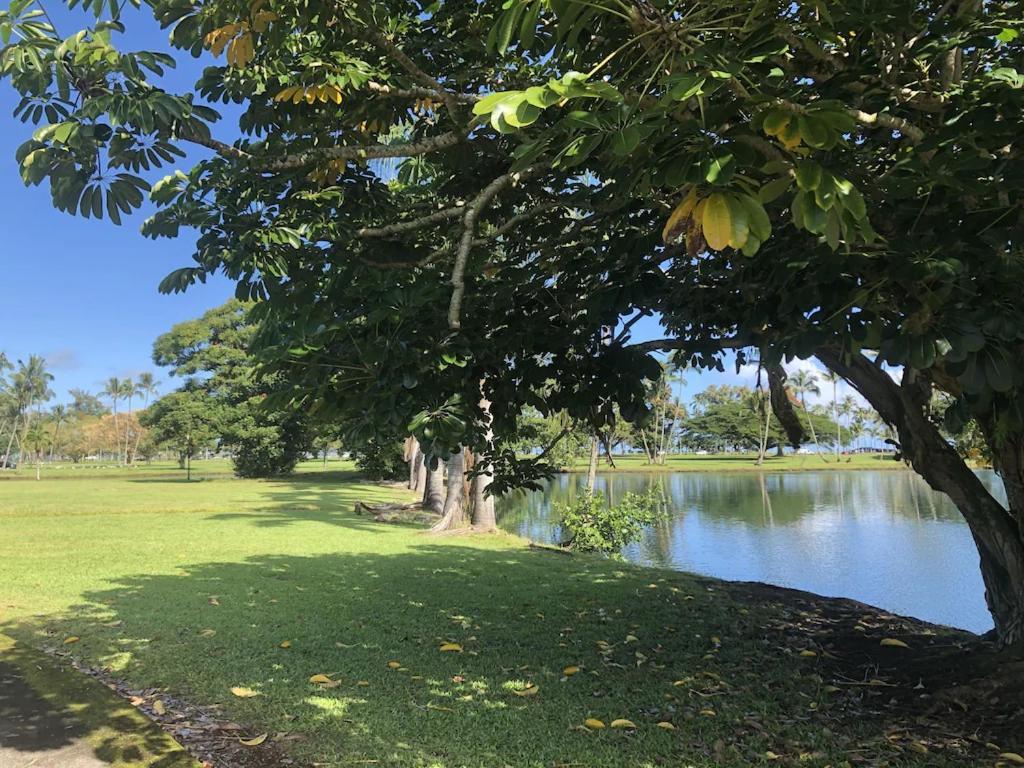 Stunning Views Best Location In Hilo 2Br Modern Condo エクステリア 写真
